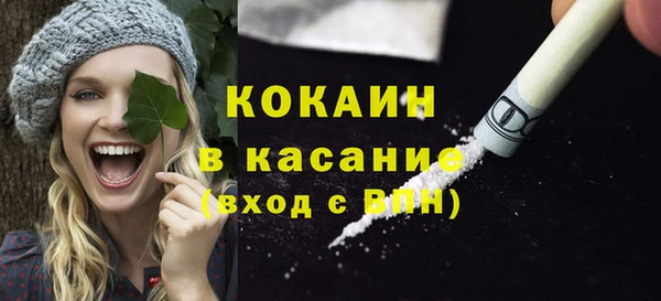 ГАЛЛЮЦИНОГЕННЫЕ ГРИБЫ Гусев