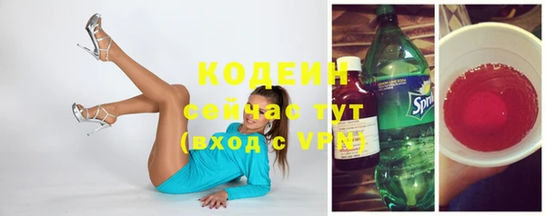 ГАЛЛЮЦИНОГЕННЫЕ ГРИБЫ Гусев