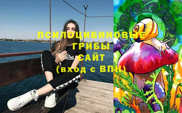 альфа пвп Гусиноозёрск