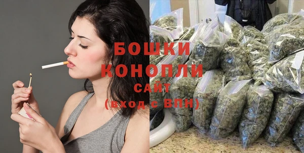 ГАЛЛЮЦИНОГЕННЫЕ ГРИБЫ Гусев