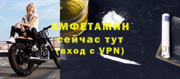 ГАЛЛЮЦИНОГЕННЫЕ ГРИБЫ Гусев