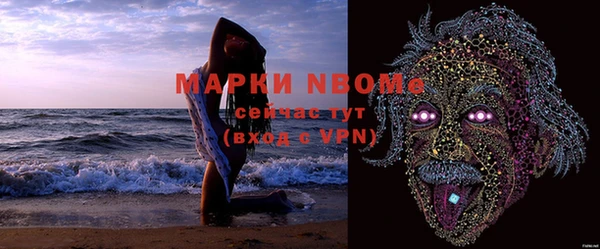 ГАЛЛЮЦИНОГЕННЫЕ ГРИБЫ Гусев