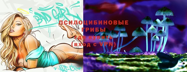 альфа пвп Гусиноозёрск