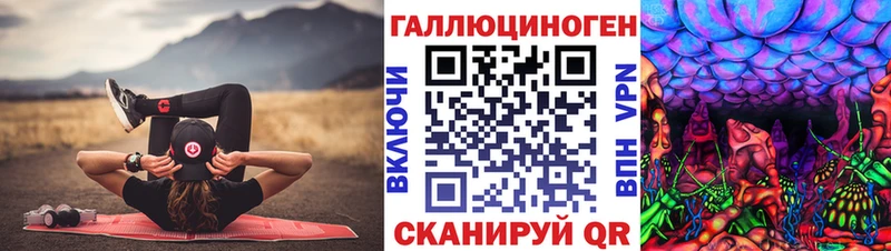 Купить где Сергач Галлюциногенные грибы Cubensis
